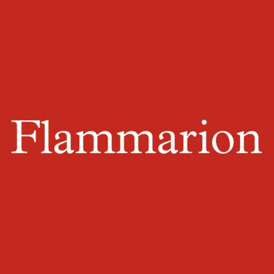 Logo Flammarion