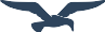 Logo Liveright Publishing