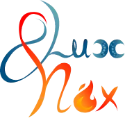 Logo Lux & Nox