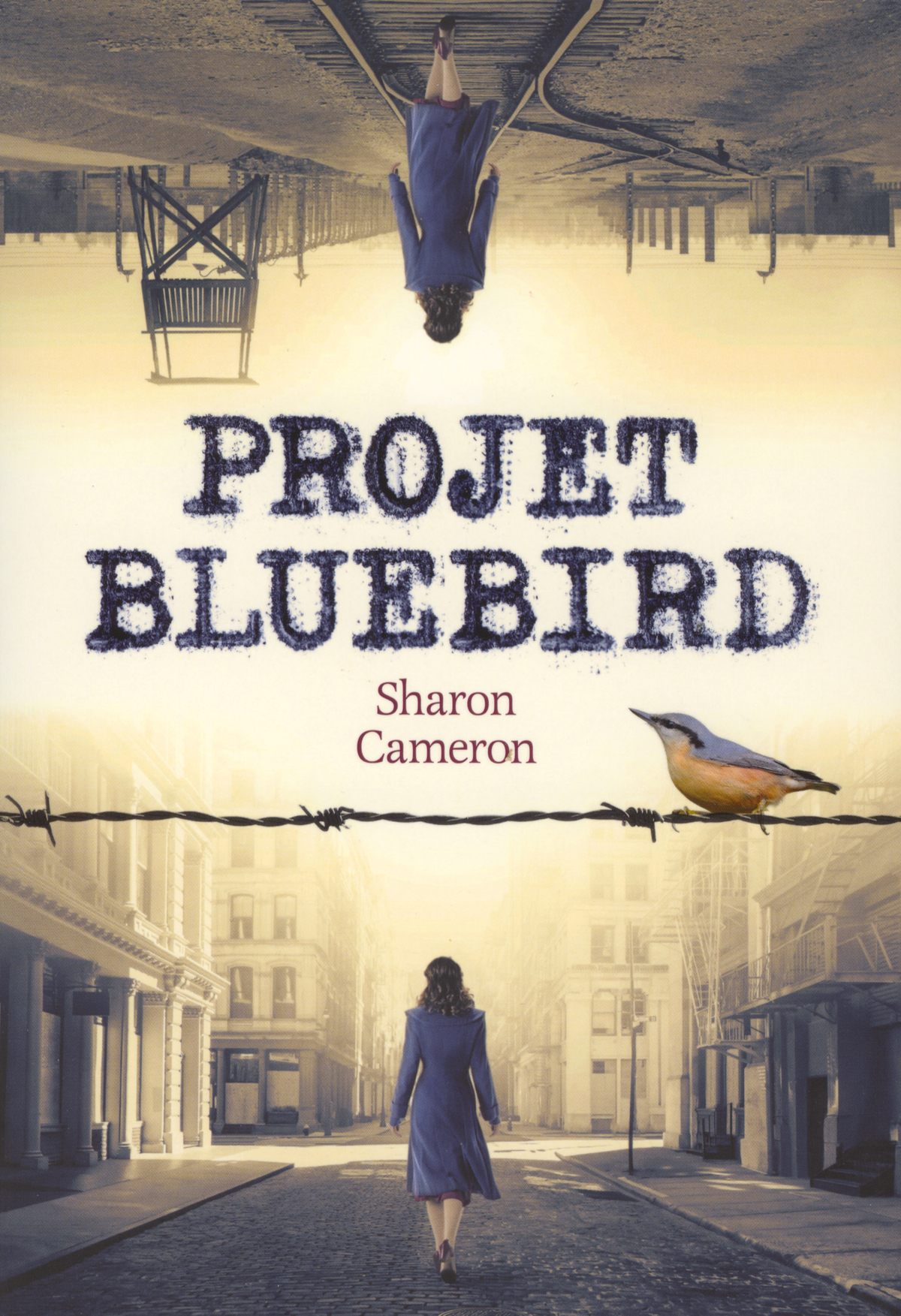 Projet Bluebird