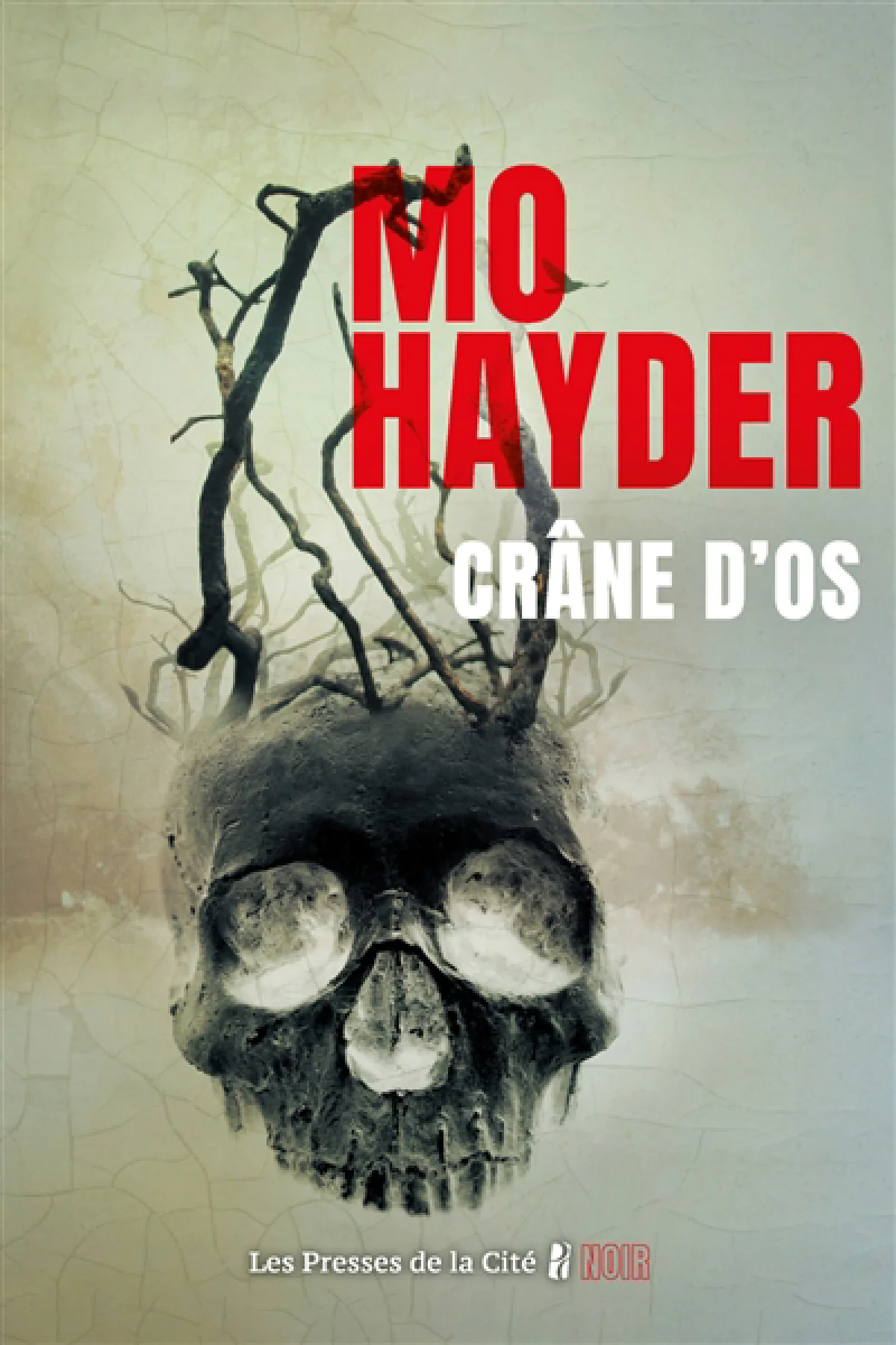 Crâne d'os