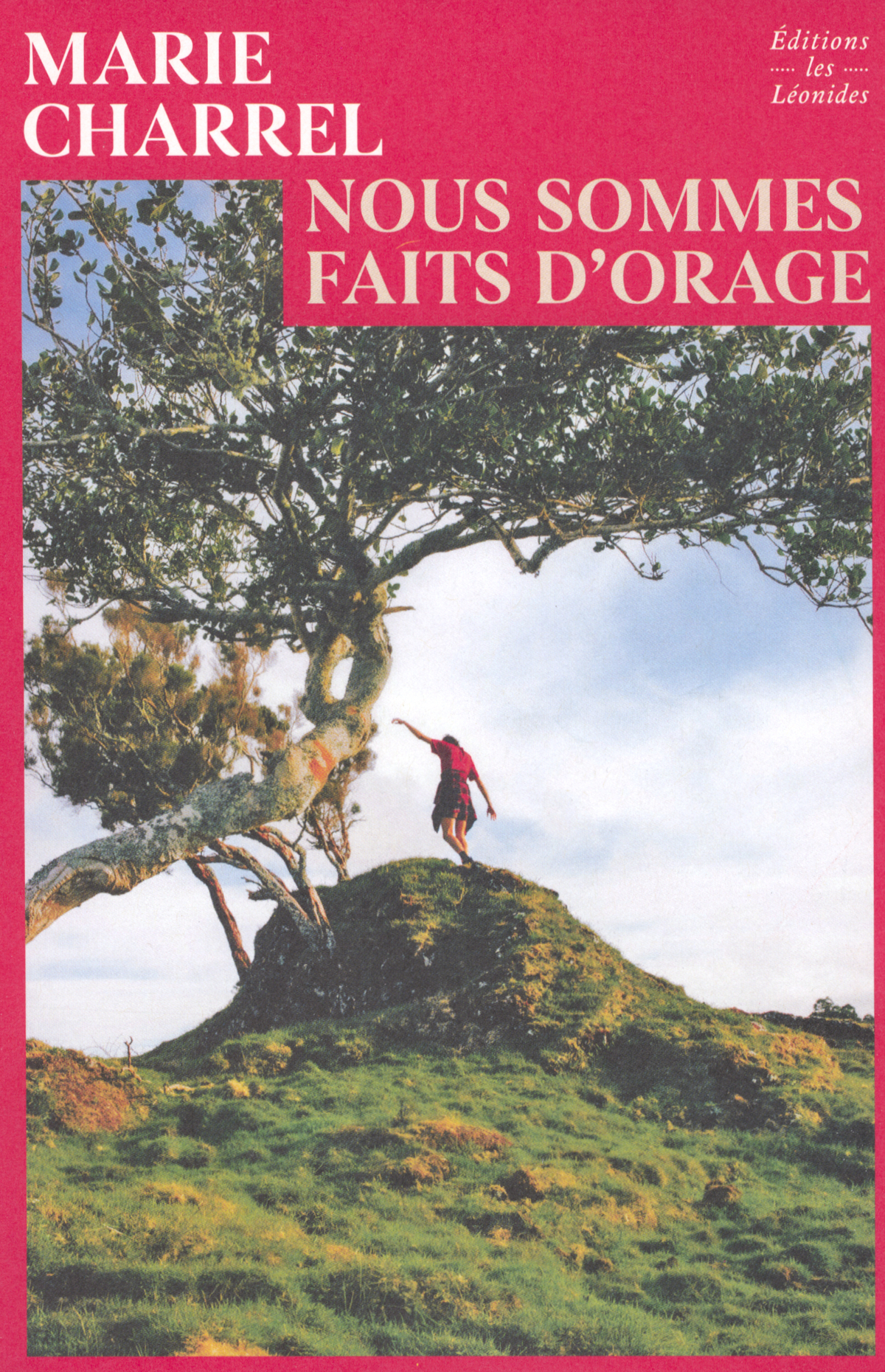 Nous sommes faits d'orage