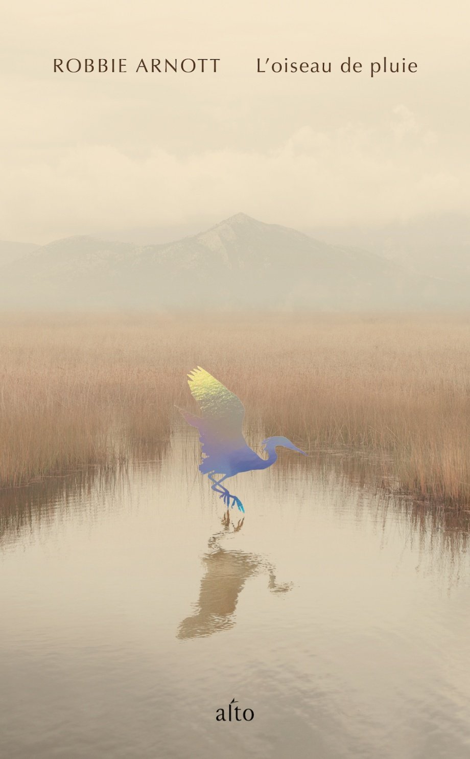 L' oiseau de pluie