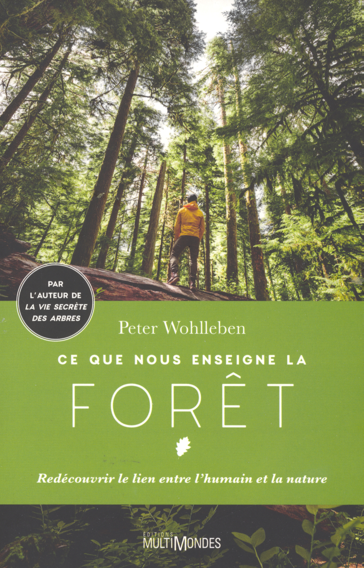 Ce que nous enseigne la forêt